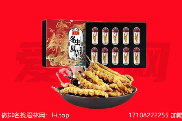 抚顺回收虫草.jpg